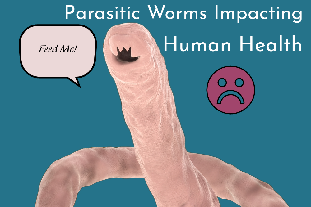 human worms