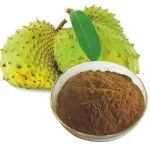 Soursop Guanabana Extract Powder
