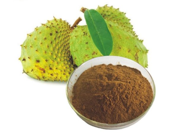 Soursop Guanabana Extract Powder