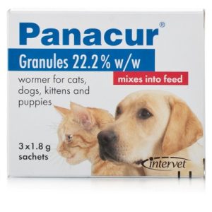 Panacur Dosage for Cats