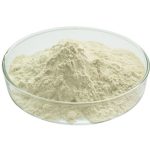 Boswellia Serrata Extract Powder (95% Boswellic Acid)